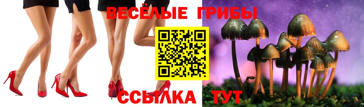 Псилоцибиновые грибы Magic Shrooms  Вход с VPN  Галлюциногенные грибы мицелий  Вязьма 
